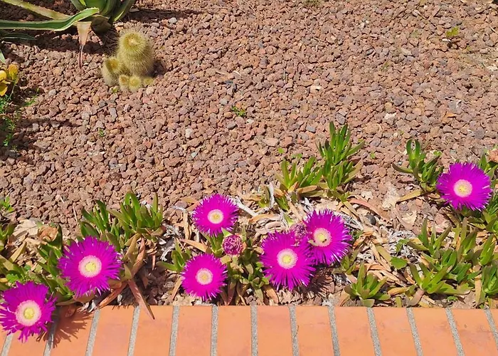 Casa La Civetta - Visita Sestri Levante E Le Cinque Terre 3*