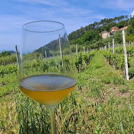 Casa La Civetta - Relax A 10 Minuti Da Sestri Levante *