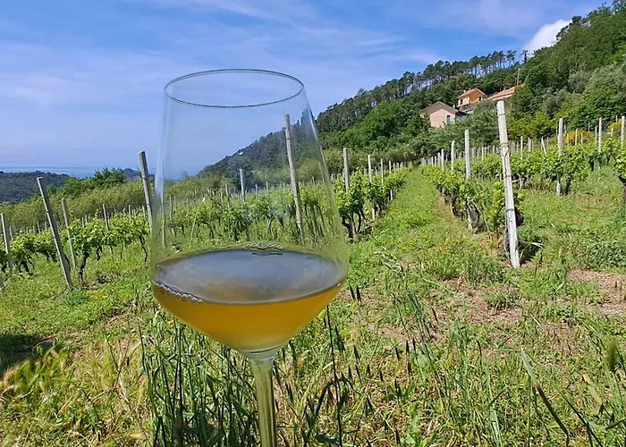 Casa La Civetta - Visita Sestri Levante E Le Cinque Terre 3*